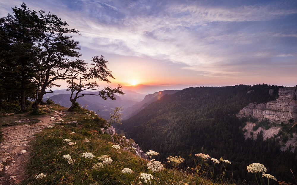 Interview With Swiss Nature Photographer Guillaume Kaufmann