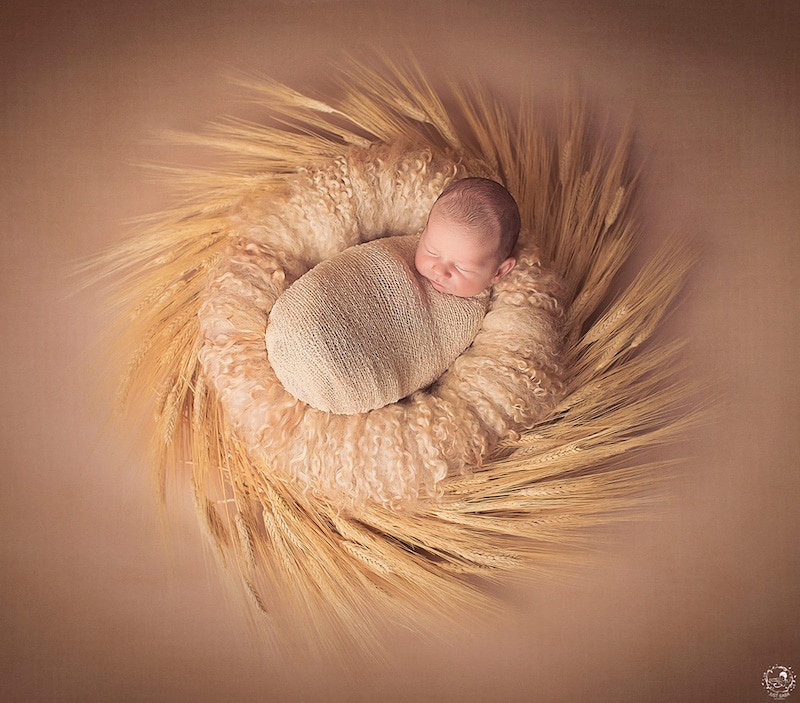 Cutest Photos Of Newborns At The Center Of Handmade Mandalas By Gabriele Dabasinskaite