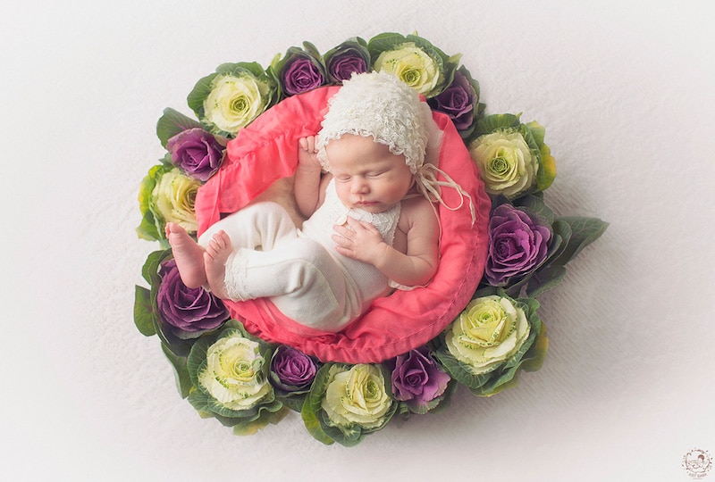 Cutest Photos Of Newborns At The Center Of Handmade Mandalas By Gabriele Dabasinskaite