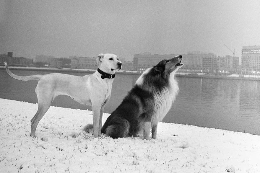 Leningrad, USSR, 1977