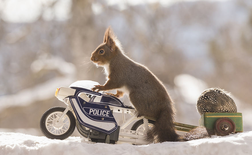 The police found a stolen egg