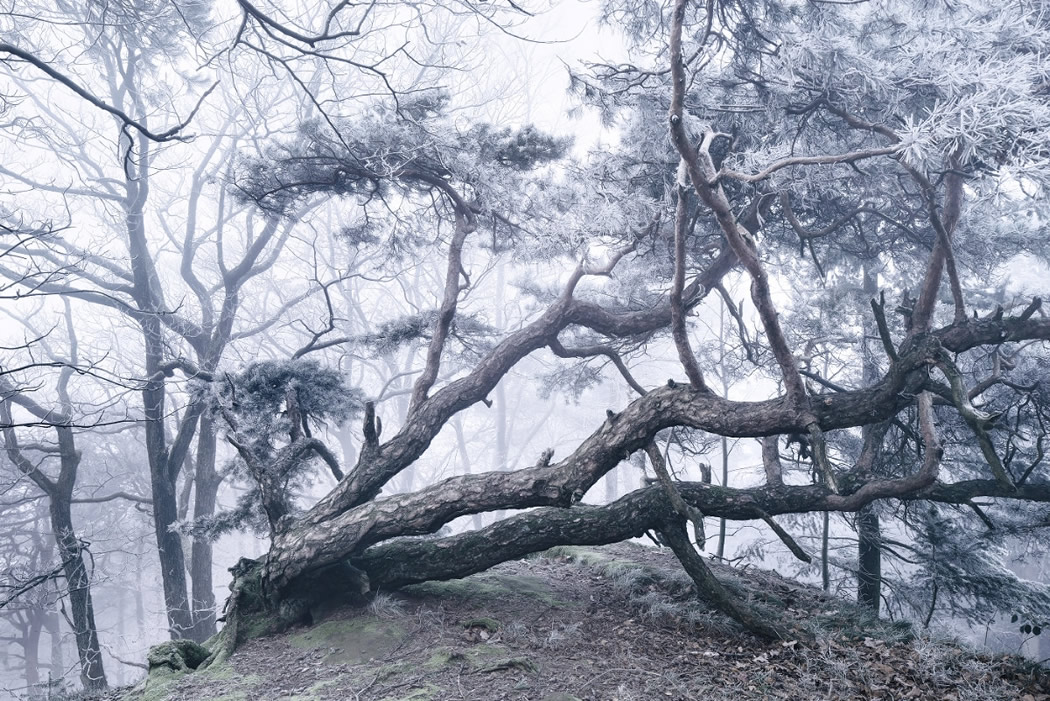 Photographer Kilian Schonberger Beautifully Captured His Landscape Photography Series, Winters Tale