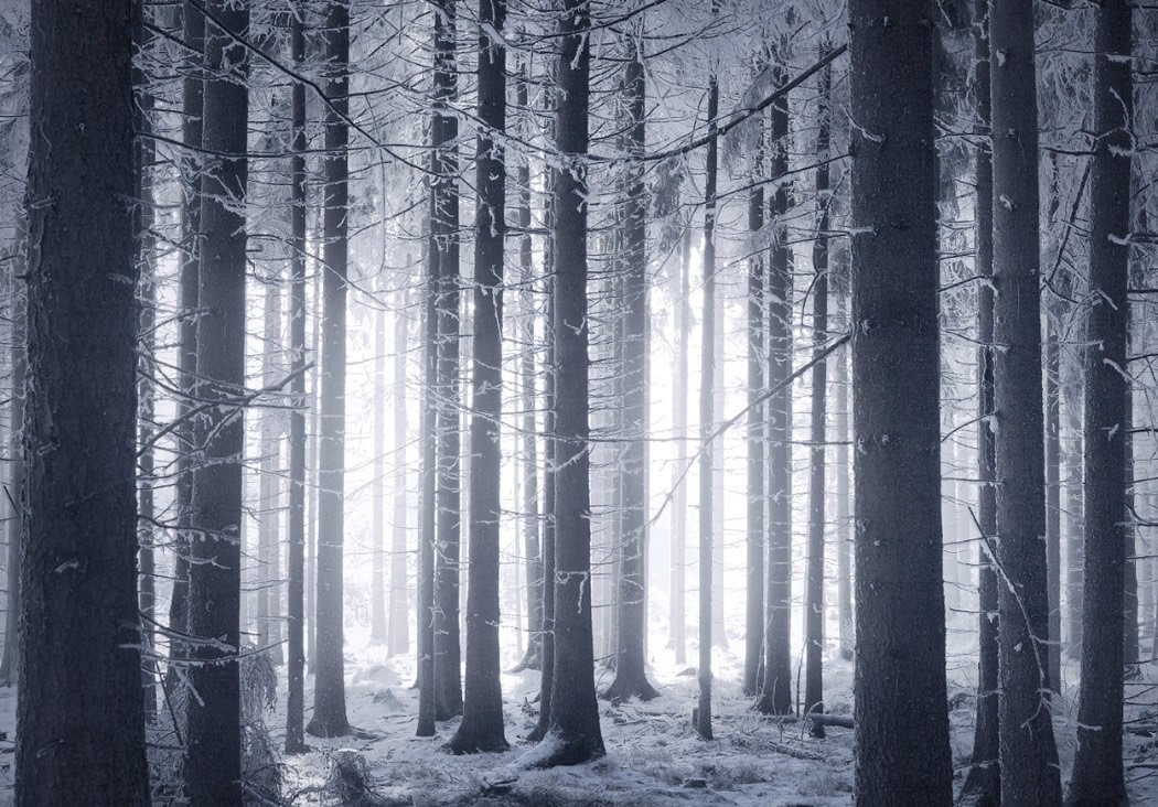 Photographer Kilian Schonberger Beautifully Captured His Landscape Photography Series, Winters Tale