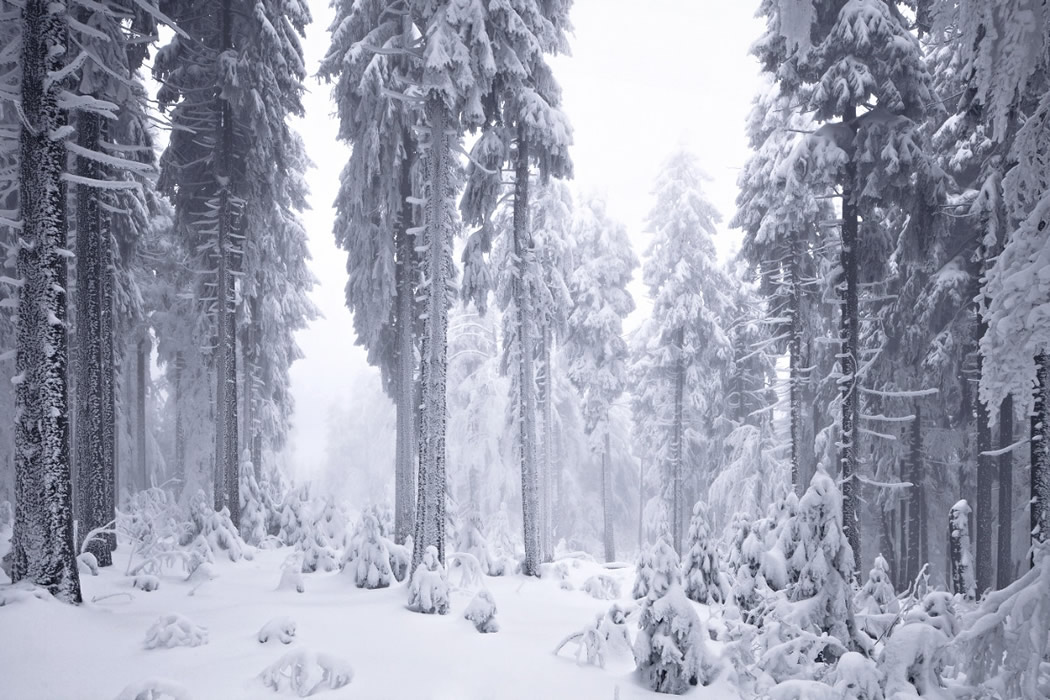 Photographer Kilian Schonberger Beautifully Captured His Landscape Photography Series, Winters Tale