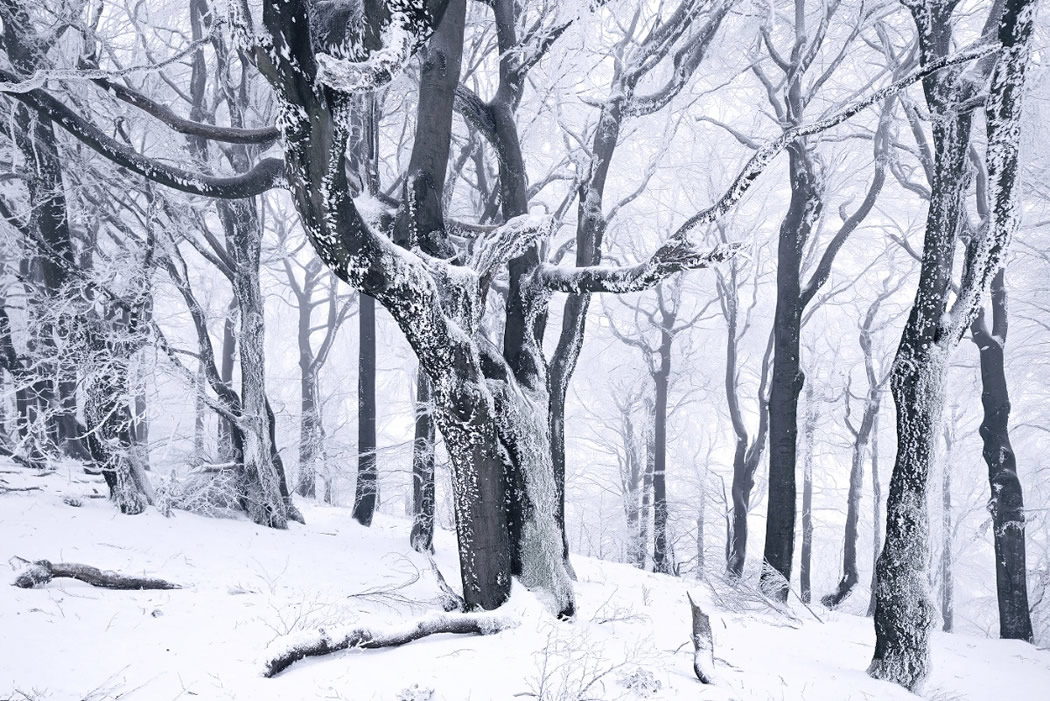 Photographer Kilian Schonberger Beautifully Captured His Landscape Photography Series, Winters Tale