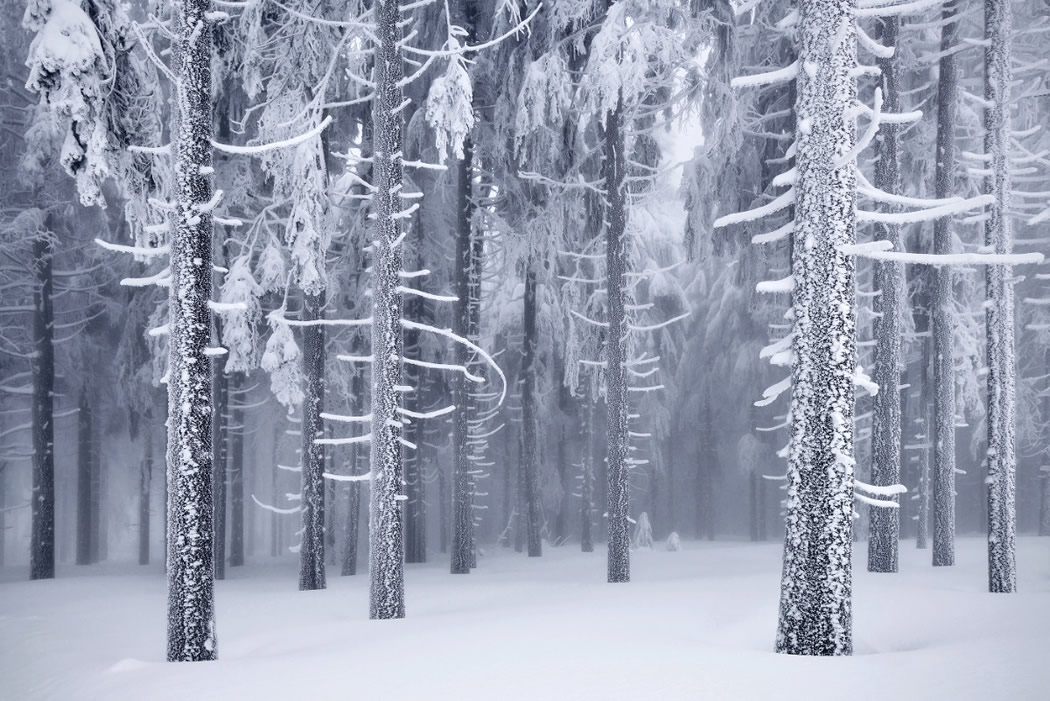 Photographer Kilian Schonberger Beautifully Captured His Landscape Photography Series, Winters Tale