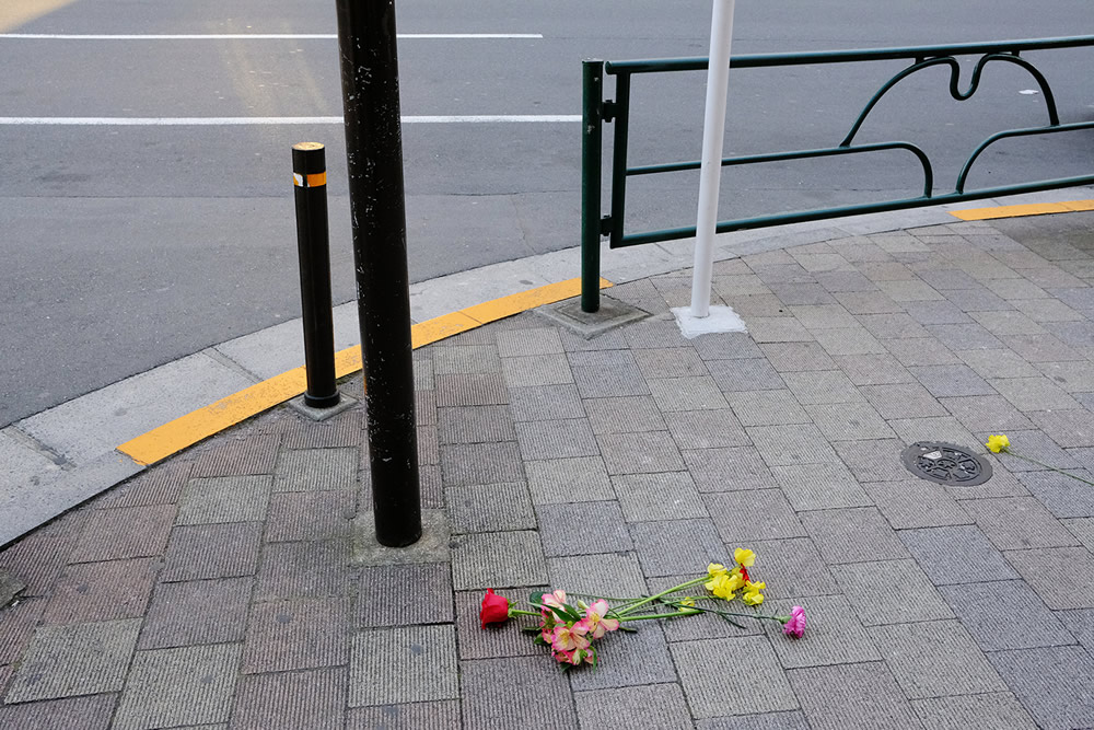 In Bloom - Street Photography Series By Dmitry Stepanenko