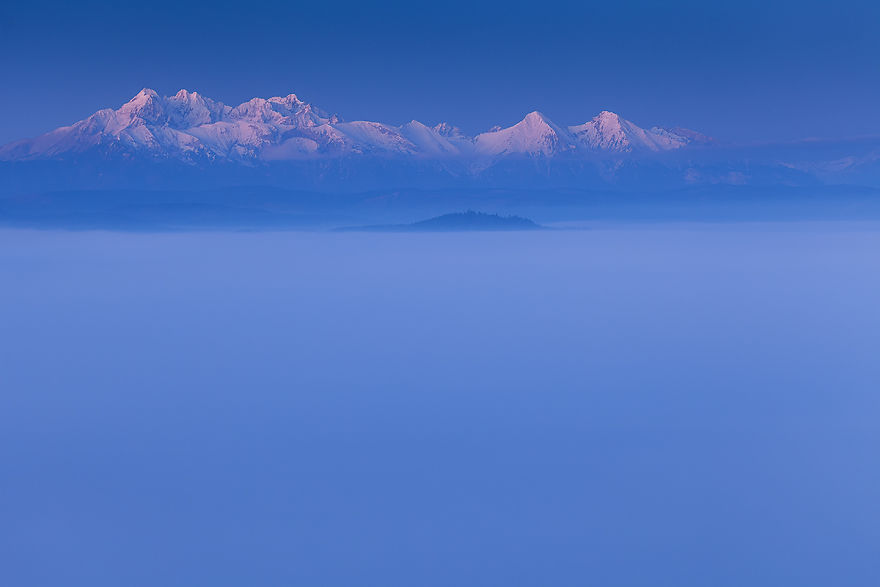 Photographer Magda Chudzik Captures Beautiful Photos Of Morning Fog