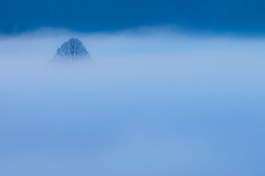 Photographer Magda Chudzik Captures Beautiful Photos Of Morning Fog