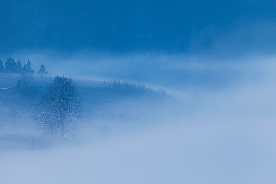 Photographer Magda Chudzik Captures Beautiful Photos Of Morning Fog