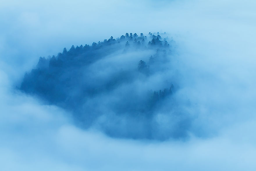 Photographer Magda Chudzik Captures Beautiful Photos Of Morning Fog