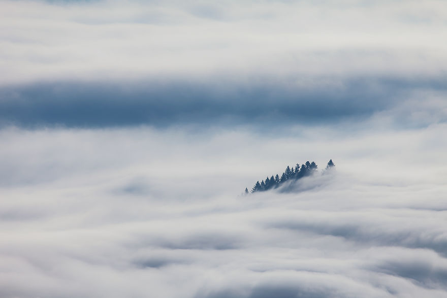 Photographer Magda Chudzik Captures Beautiful Photos Of Morning Fog