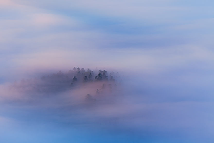 Photographer Magda Chudzik Captures Beautiful Photos Of Morning Fog