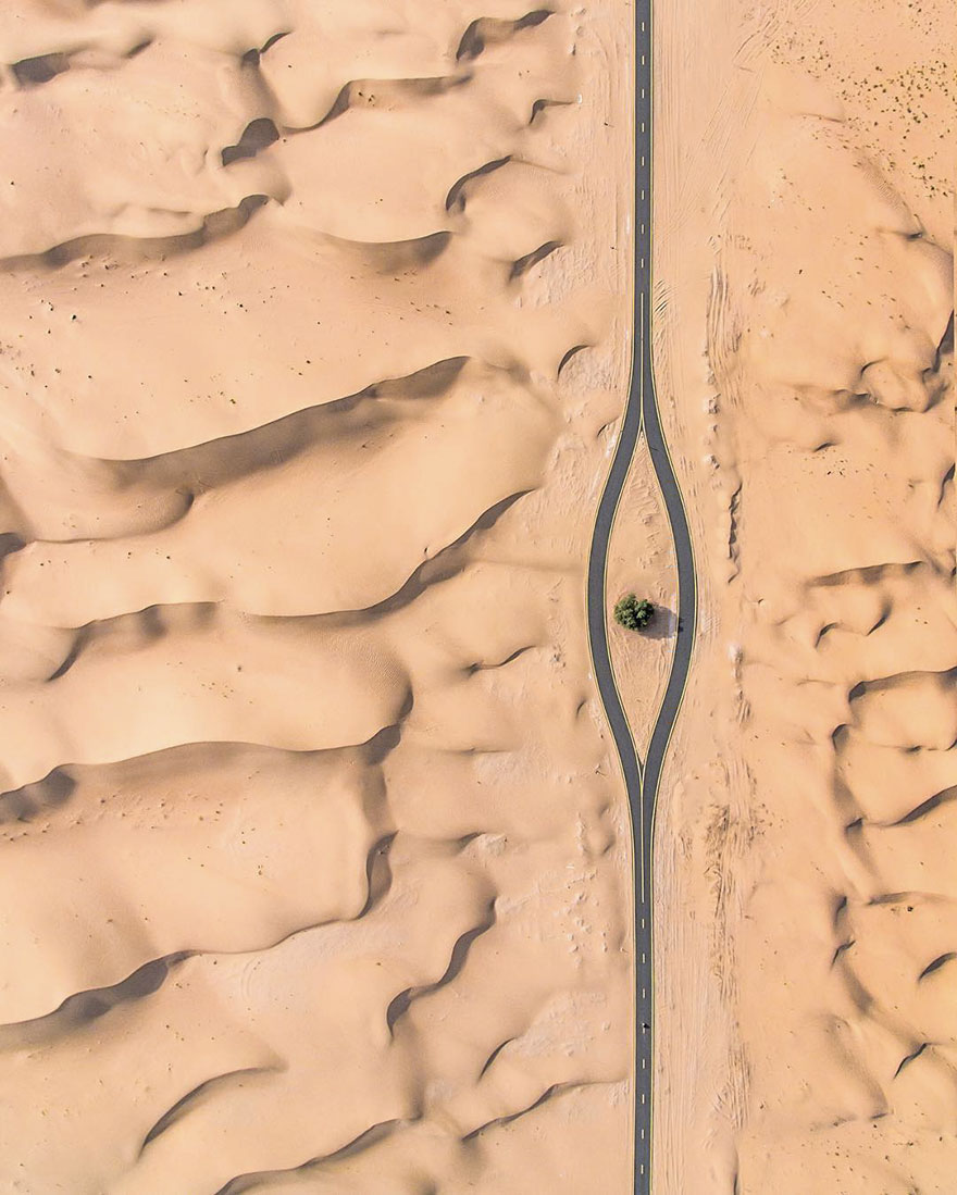 Another Tree Saved (Dubai, United Arab Emirates)