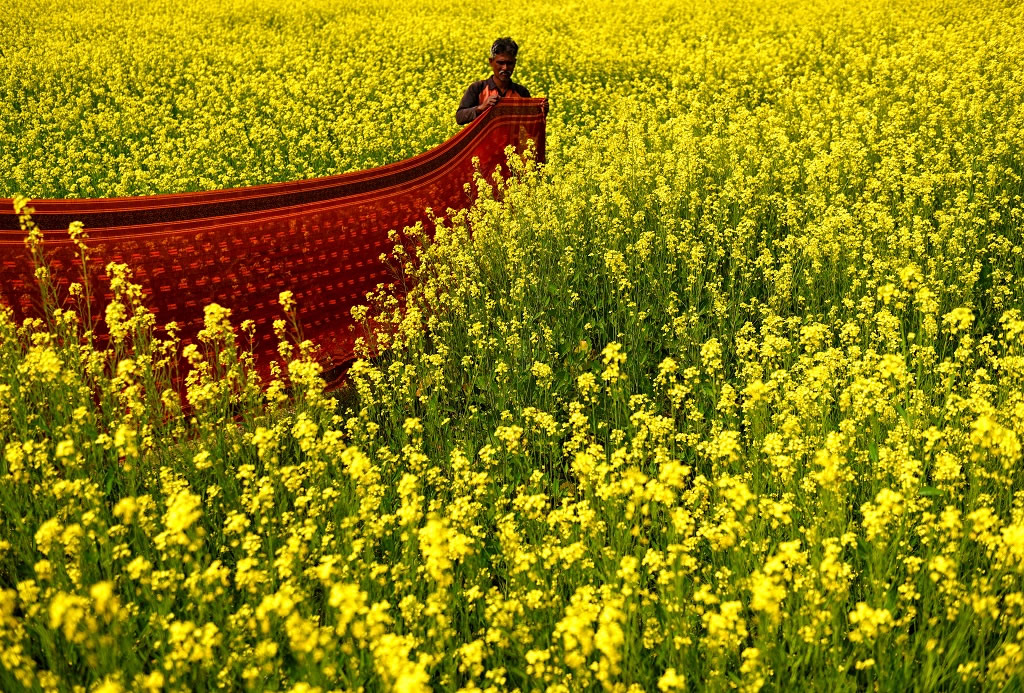 Preparation Of Indian Traditional Dress - Saree: Photo Series By Avishek Das