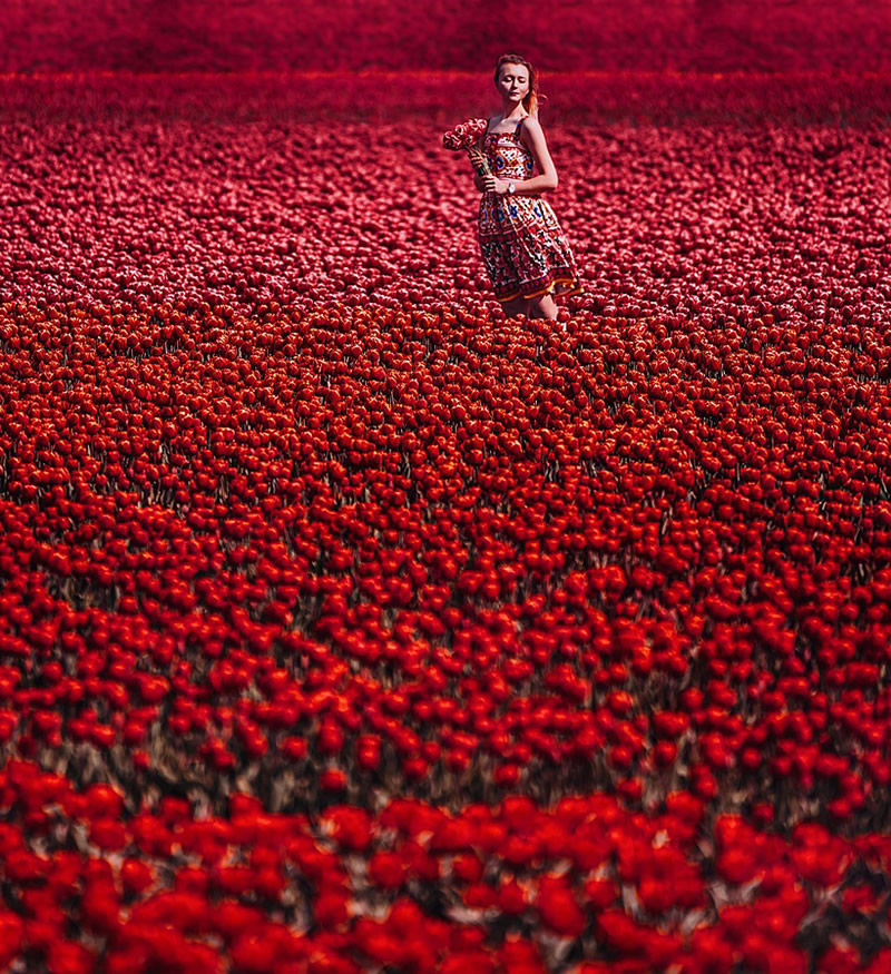 Tulips Field, Lisse, Holland. Model: Nastya