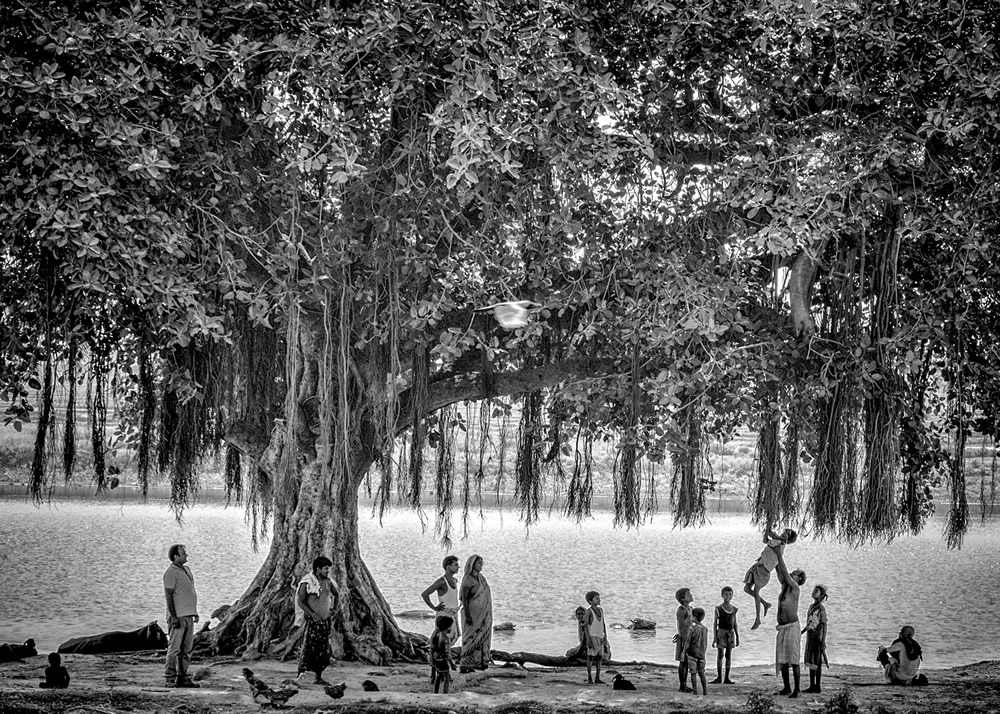 My Journey With Trees: Fascinating Photo Series By Dakshina Murthy