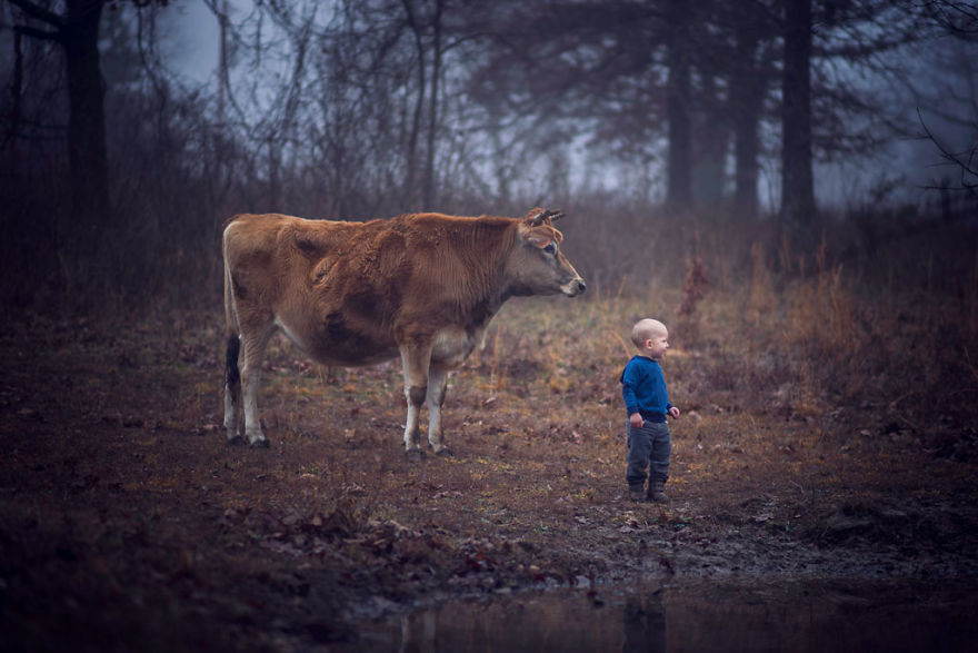 Most Beautiful Photos Of Kids And Barnyard Animals By Phillip Haumesser