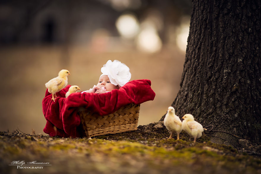 Most Beautiful Photos Of Kids And Barnyard Animals By Phillip Haumesser