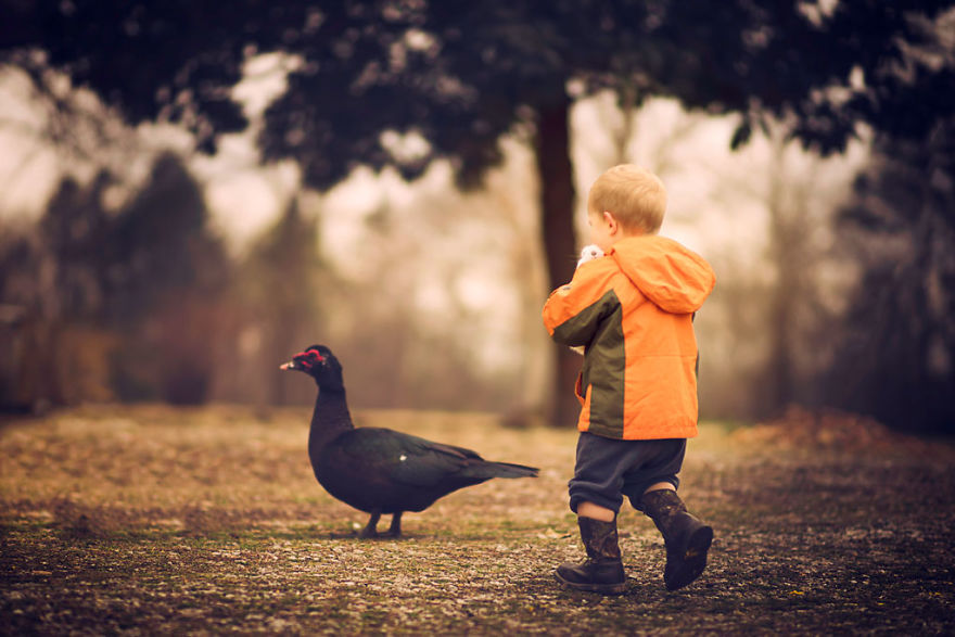 Most Beautiful Photos Of Kids And Barnyard Animals By Phillip Haumesser