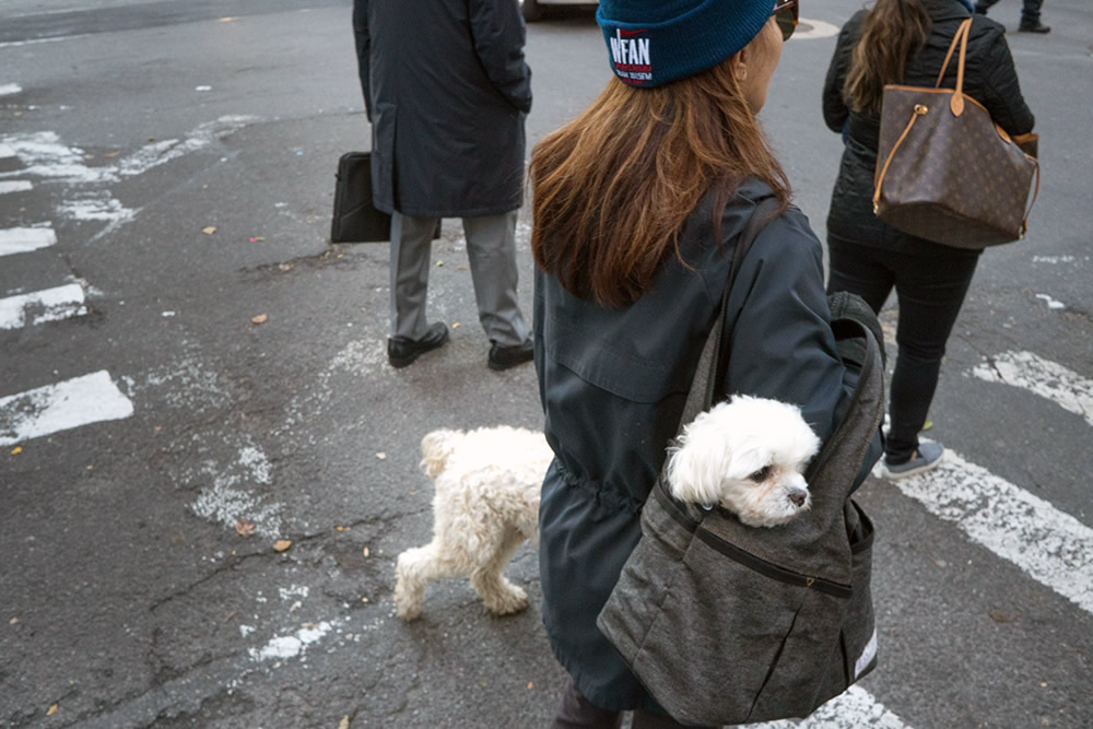 An Interview With Israeli Street Photographer Ronen Berka