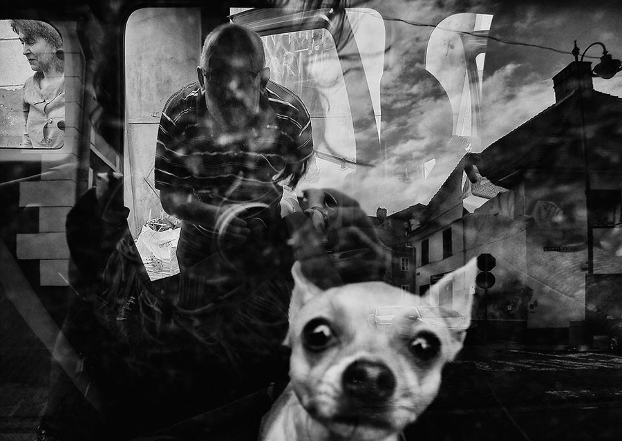 Street Photography & The Art of Composition – Majestic Photographs