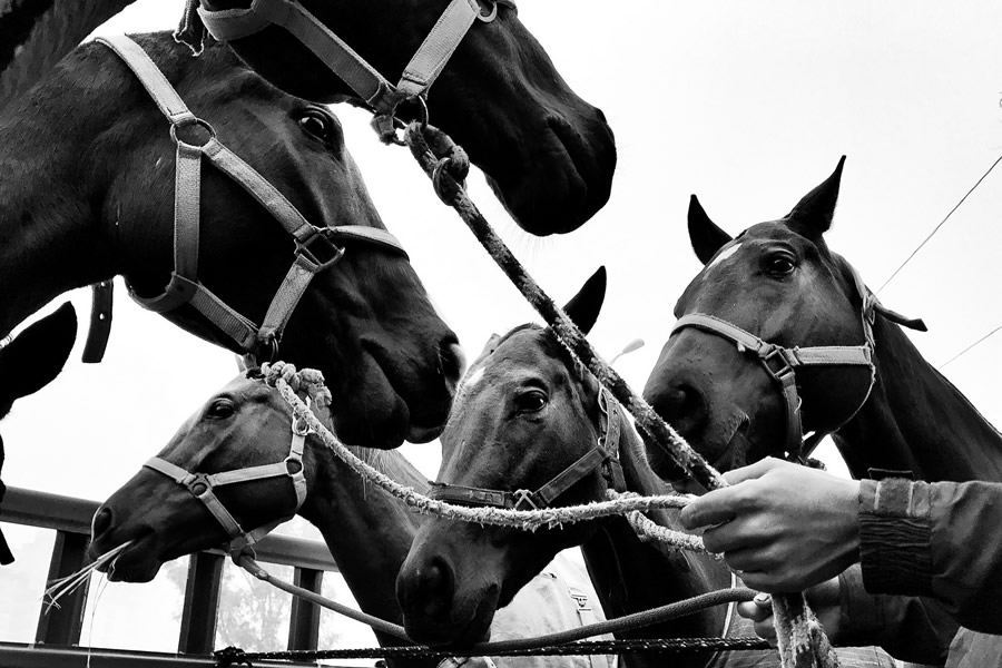 Street Photography & The Art of Composition – Majestic Photographs