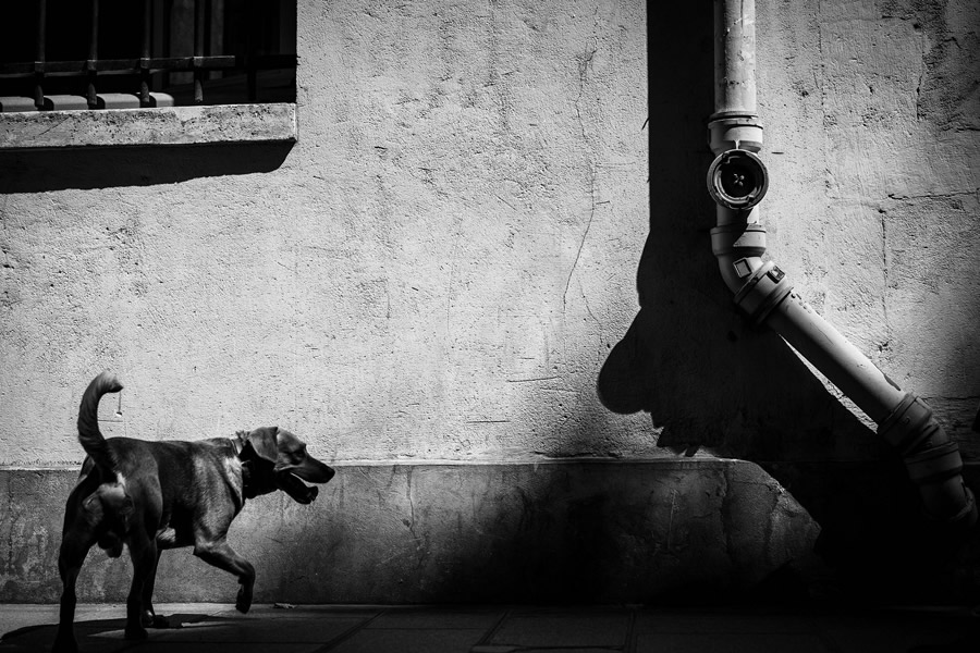 Street Photography & The Art of Composition – Majestic Photographs