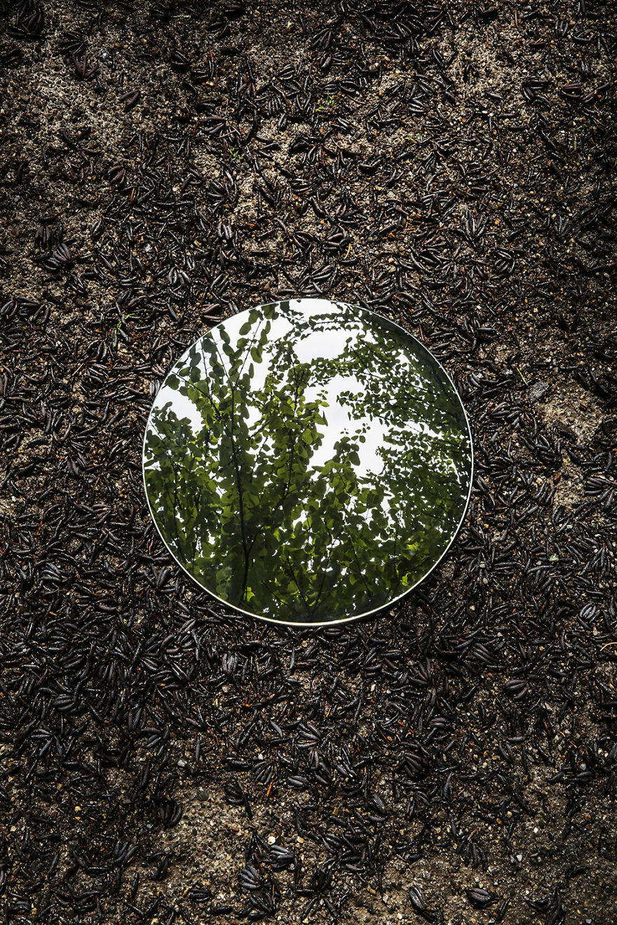 Photographer Sebastian Magnani Captured The Beauty Of Nature In Mirror Reflections