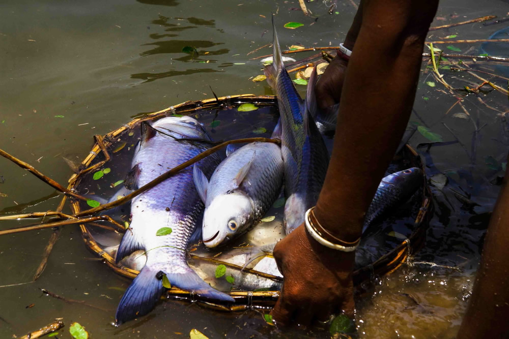 Everyday Catastrophe: Photo Series By Bangladeshi Photographer S.M. Kakon