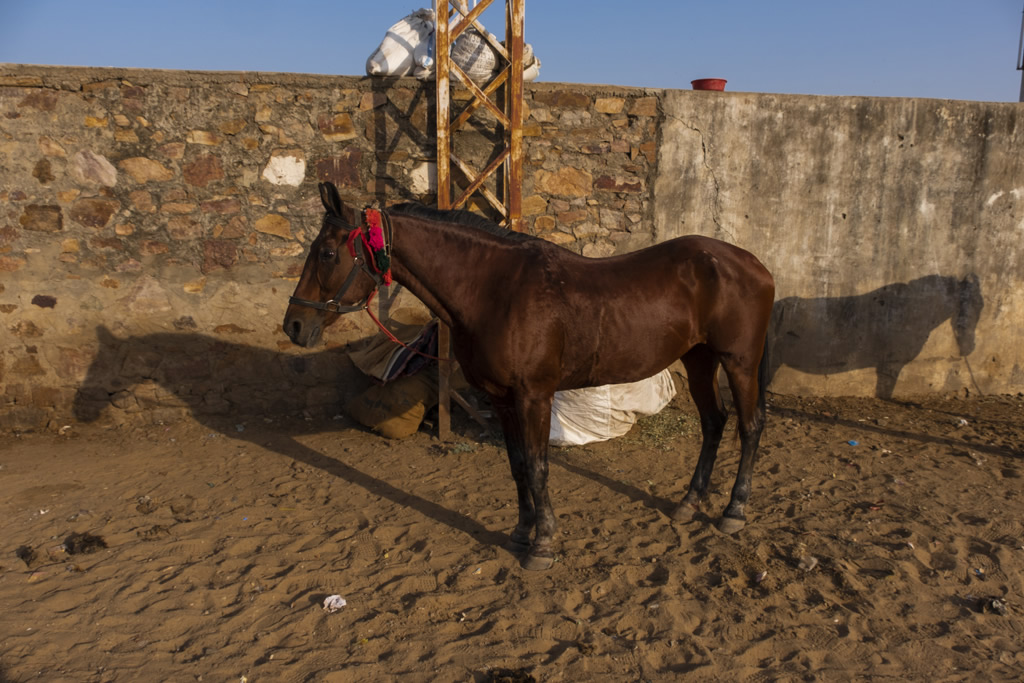 Pushkar – A Journey To Infinity: Photo Series By Raj Sarkar