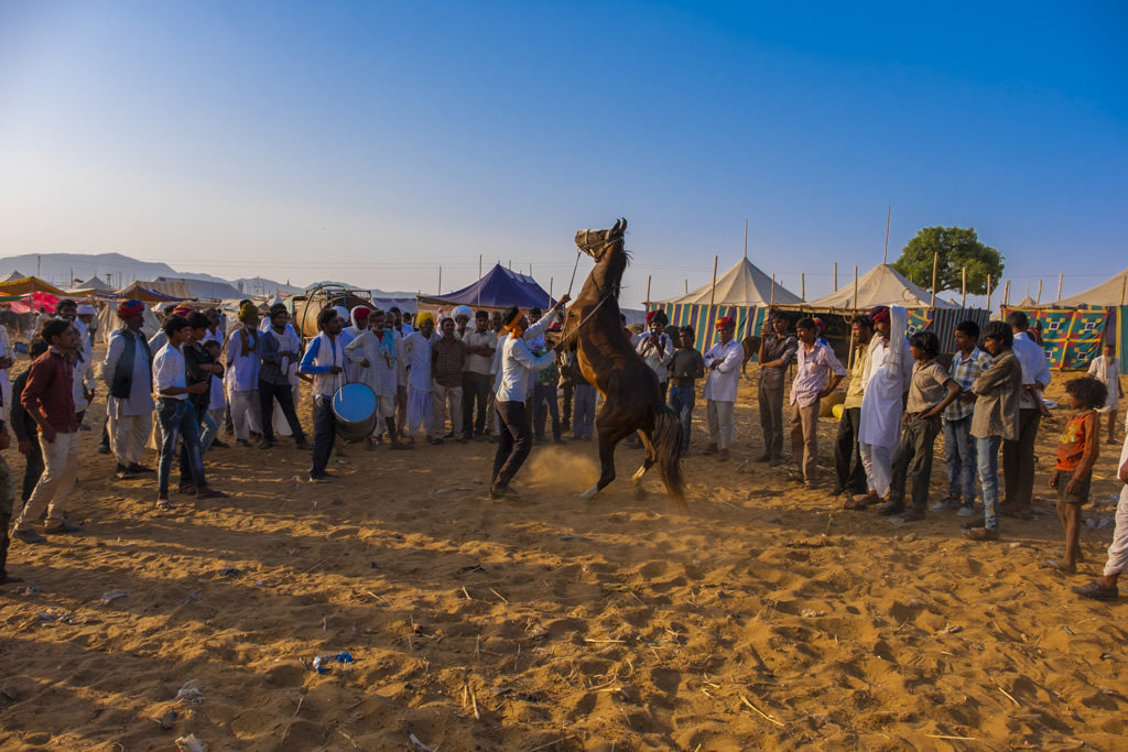 Pushkar – A Journey To Infinity: Photo Series By Raj Sarkar