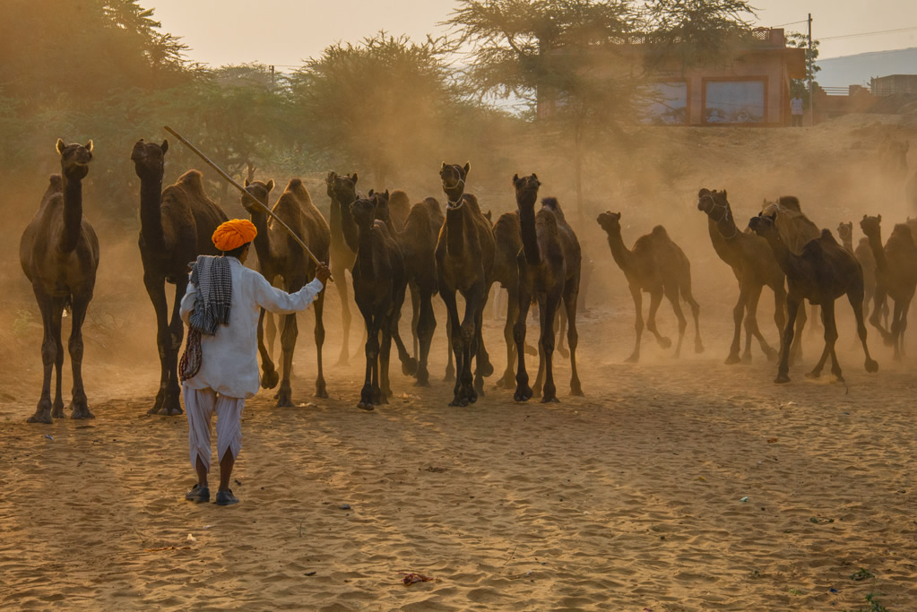 Pushkar – A Journey To Infinity: Photo Series By Raj Sarkar