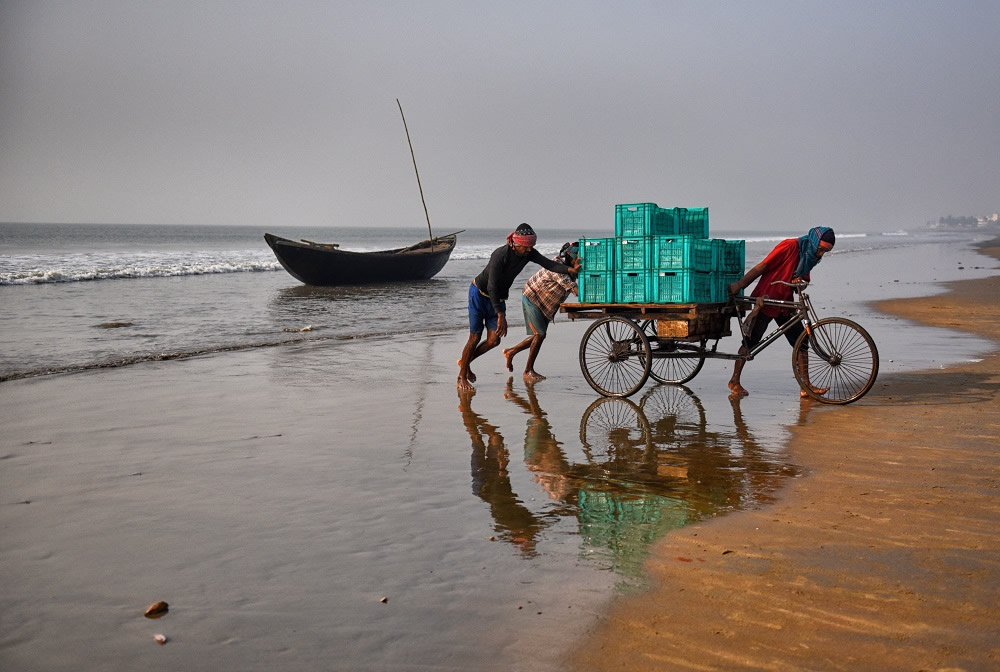 Dry Fish Processing At The Coastal Area Of Bengal: Photo Series By Avishek Das