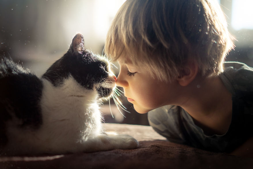 Photographer Iwona Podlasińska Captured The Most Magical Moments of His Son With Cats