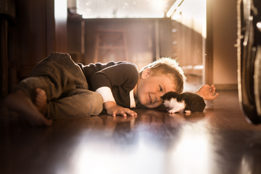 Photographer Iwona Podlasińska Captured The Most Magical Moments of His Son With Cats