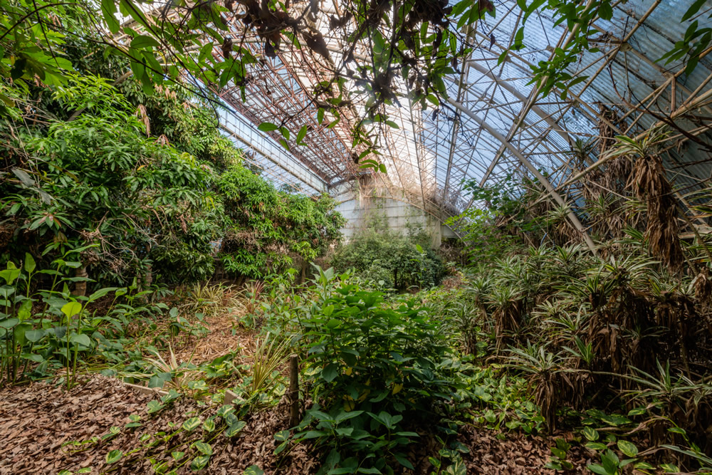 Sonatine - Abandoned Places In Japan: Photo Series By Romain Veillon