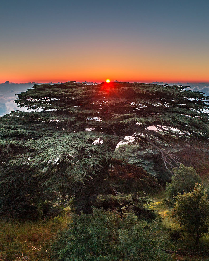 Lebanon Like Never Seen Before: 50 Breathtaking Photos By Rami Rizk