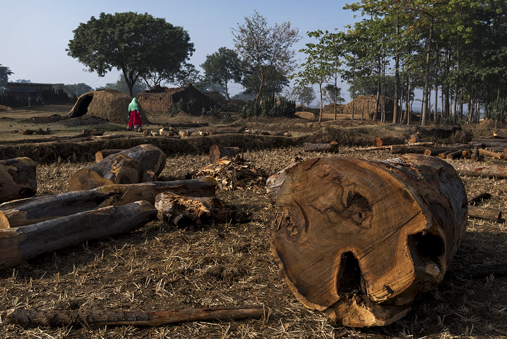 While Visiting A Charcoal Kiln: Photo Series By Sanghamitra Bhattacharya