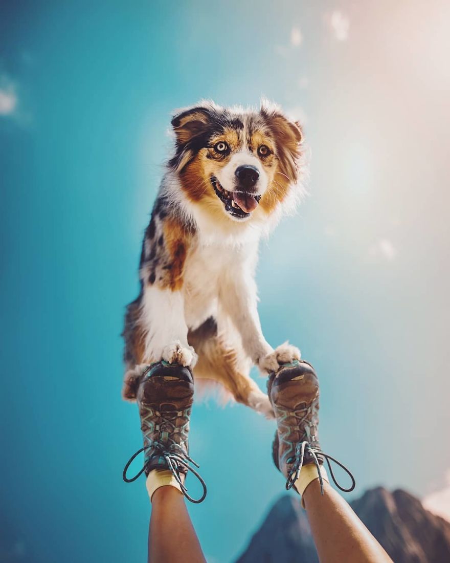 The Best Dog Photos I Have Ever Captured By Kristyna Kvapilova