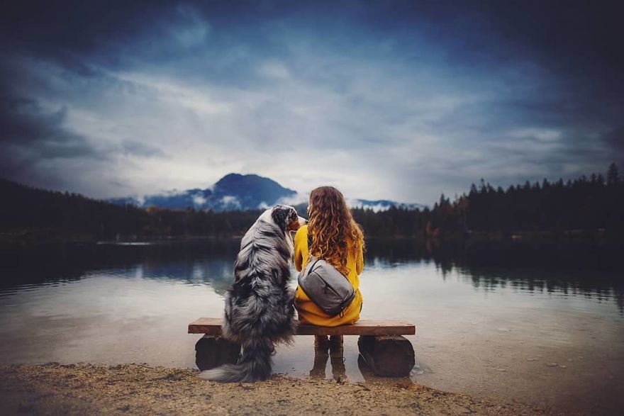 The Best Dog Photos I Have Ever Captured By Kristyna Kvapilova