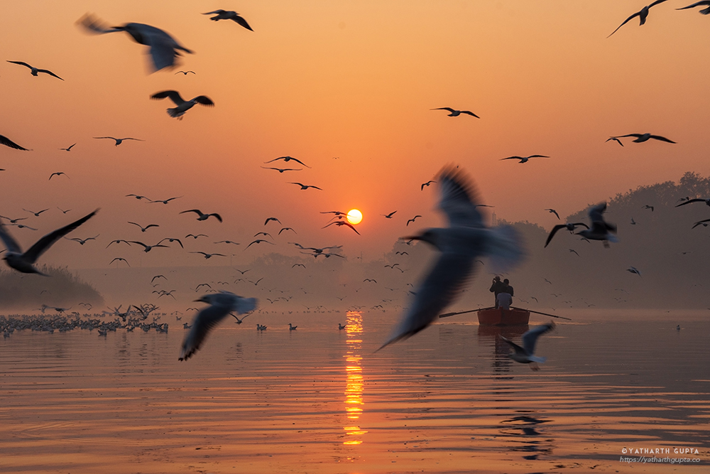 Migratory Bustle At Yamuna Ghat: Photo Series By Yatharth Gupta