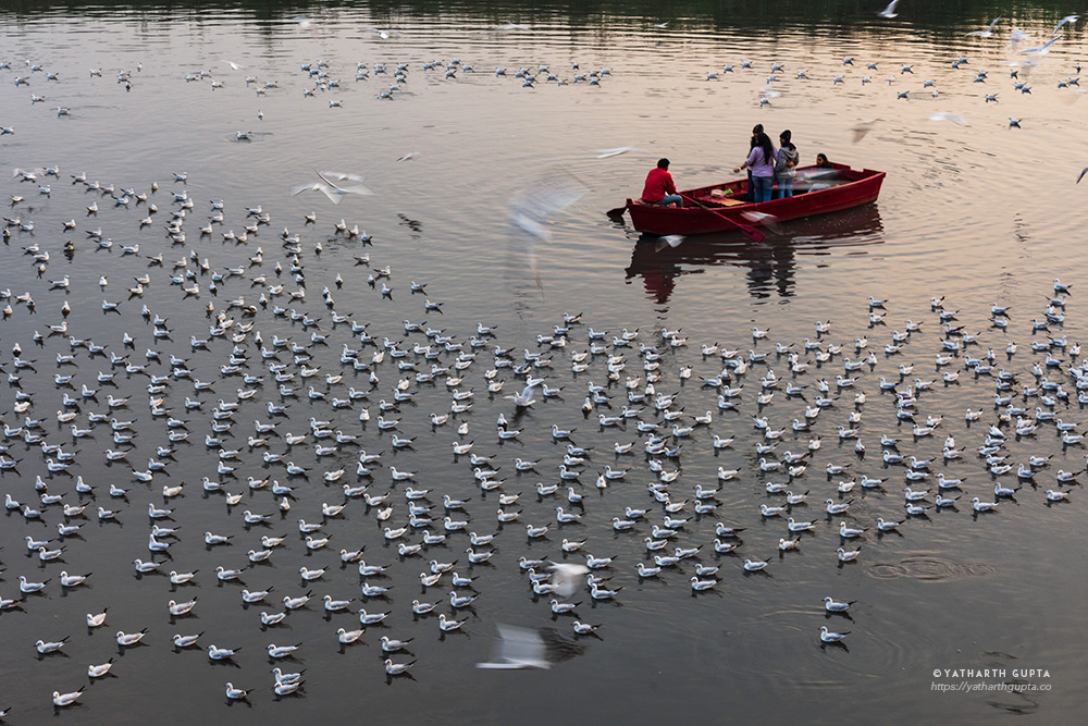 Migratory Bustle At Yamuna Ghat: Photo Series By Yatharth Gupta