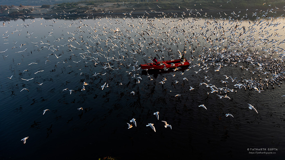 Migratory Bustle At Yamuna Ghat: Photo Series By Yatharth Gupta