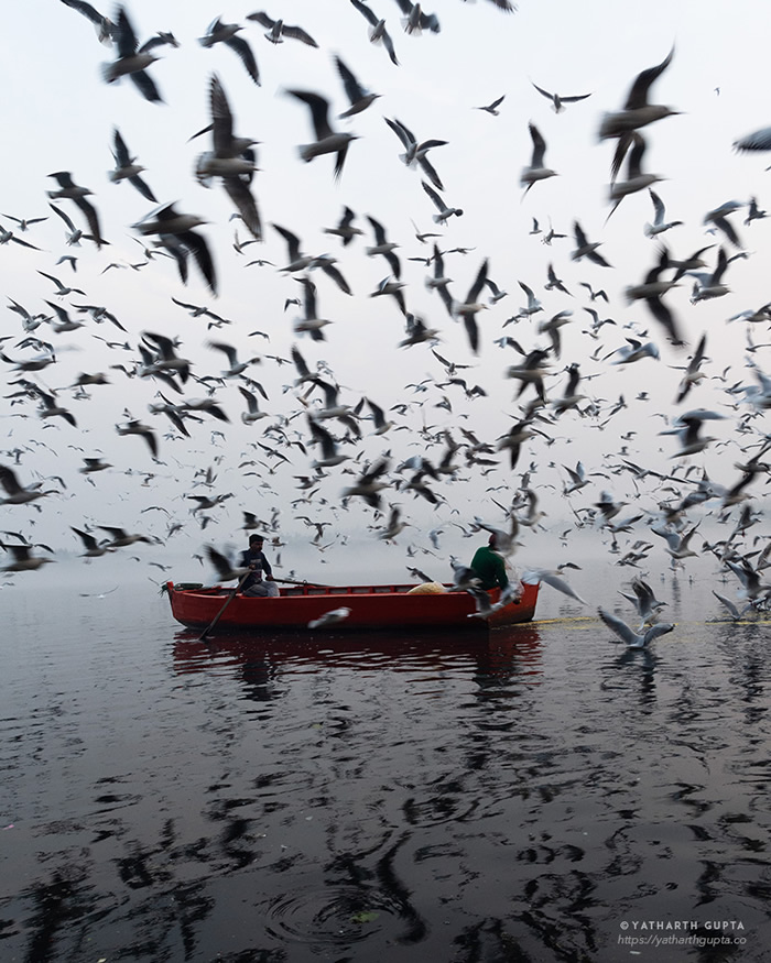 Migratory Bustle At Yamuna Ghat: Photo Series By Yatharth Gupta