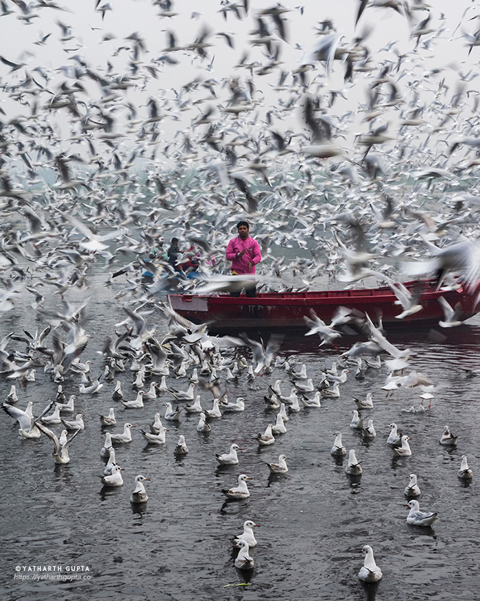 Migratory Bustle At Yamuna Ghat: Photo Series By Yatharth Gupta