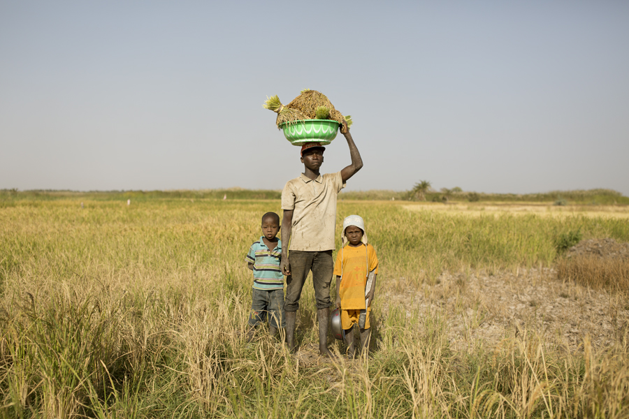 The Gambia – The Smiling Coast Of Africa By Vincent Karcher