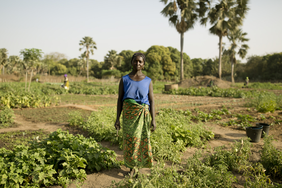 The Gambia – The Smiling Coast Of Africa By Vincent Karcher