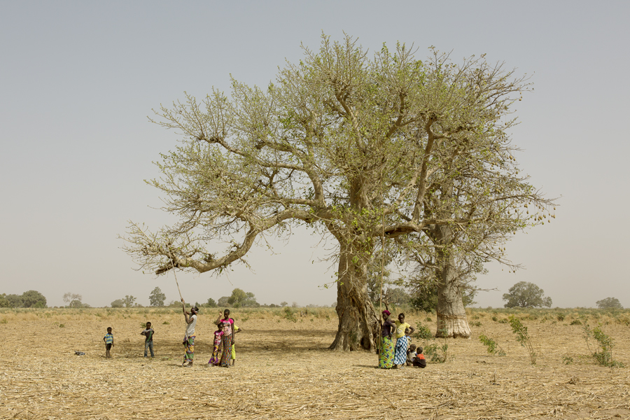 The Gambia – The Smiling Coast Of Africa By Vincent Karcher