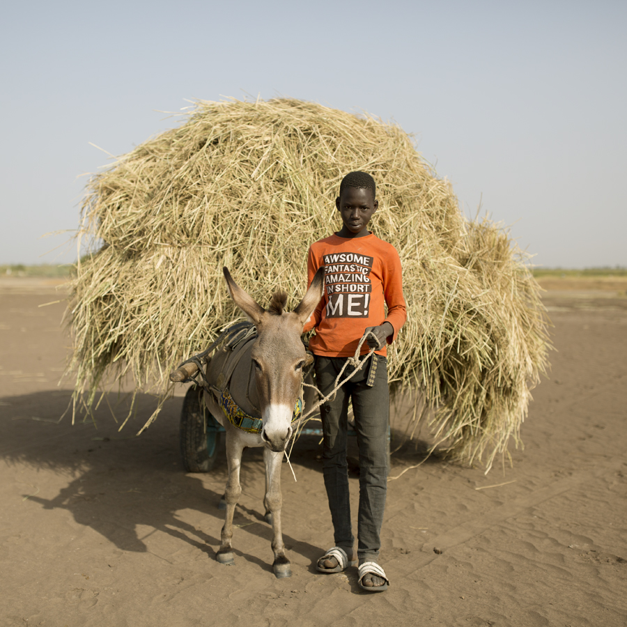 The Gambia – The Smiling Coast Of Africa By Vincent Karcher